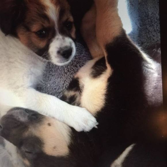 Meet your Posher, Kelley - Picture 1 of 1